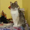 Отзыв от Зоя Плотникова
